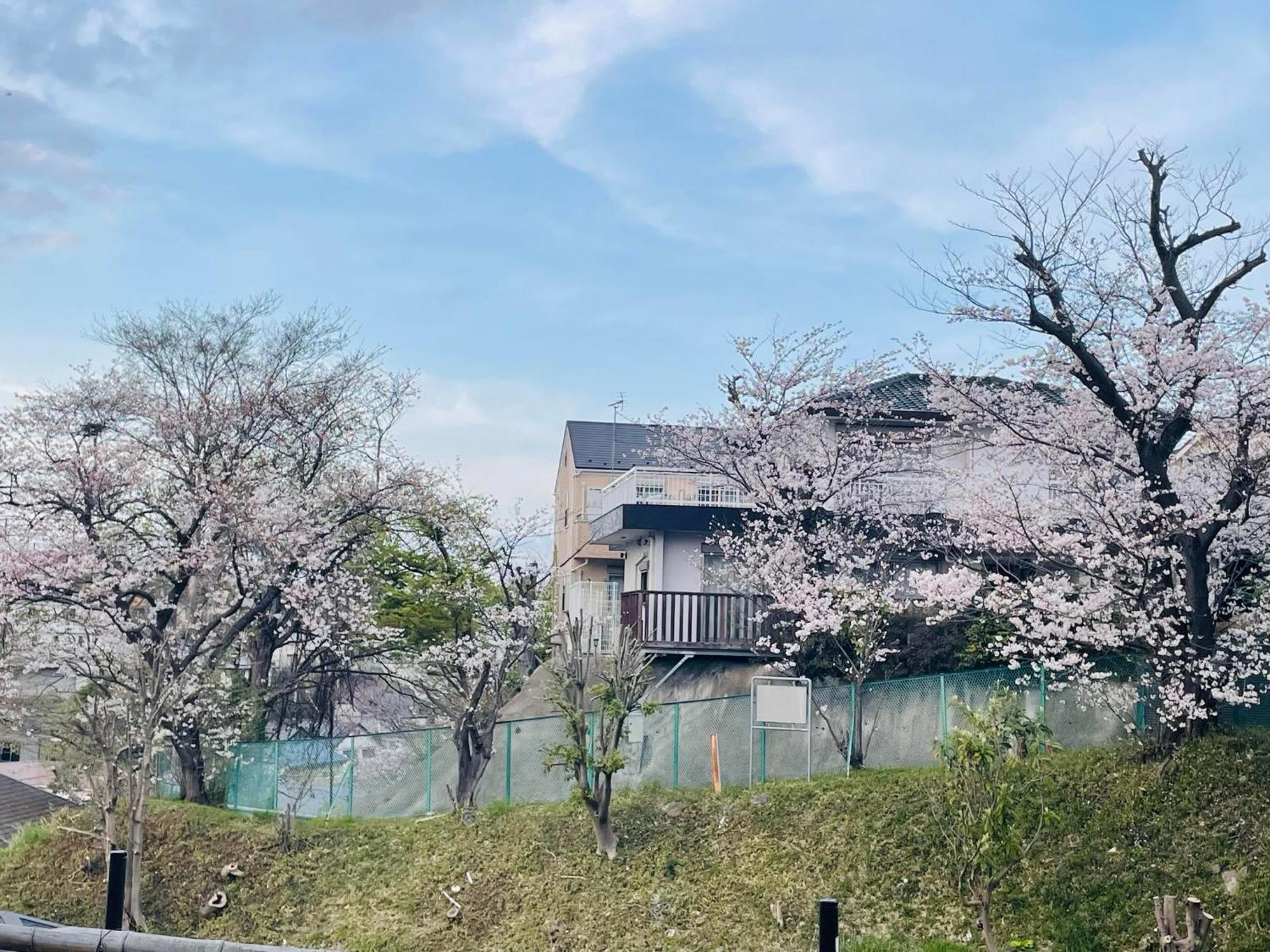 ソフィアハウス横浜 -女性専用シェアハウス- Sopfia House Yokohama For Women Only Shared House Hotel ภายนอก รูปภาพ